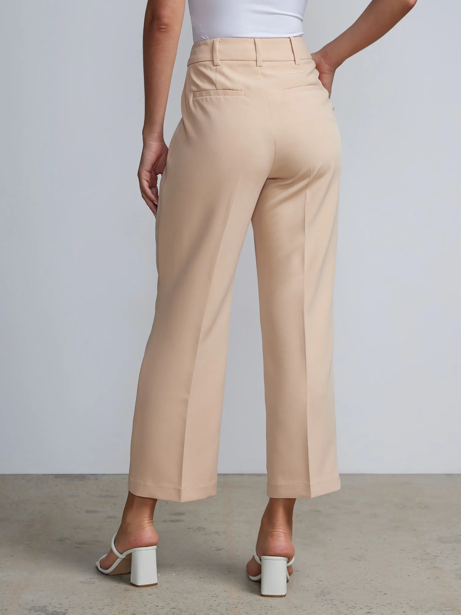 Petite High Rise Pleated Trousers