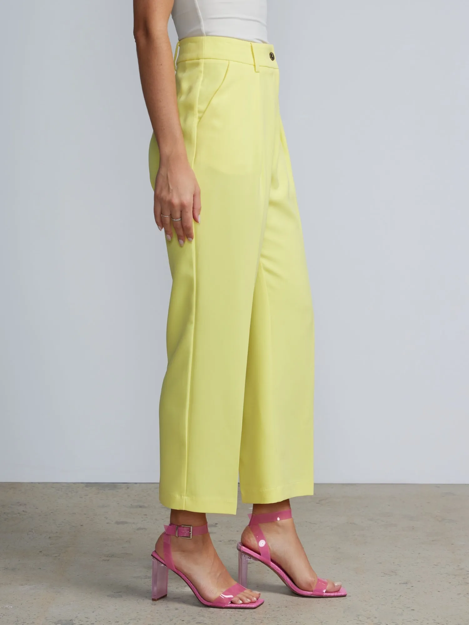 Petite High Rise Pleated Trousers