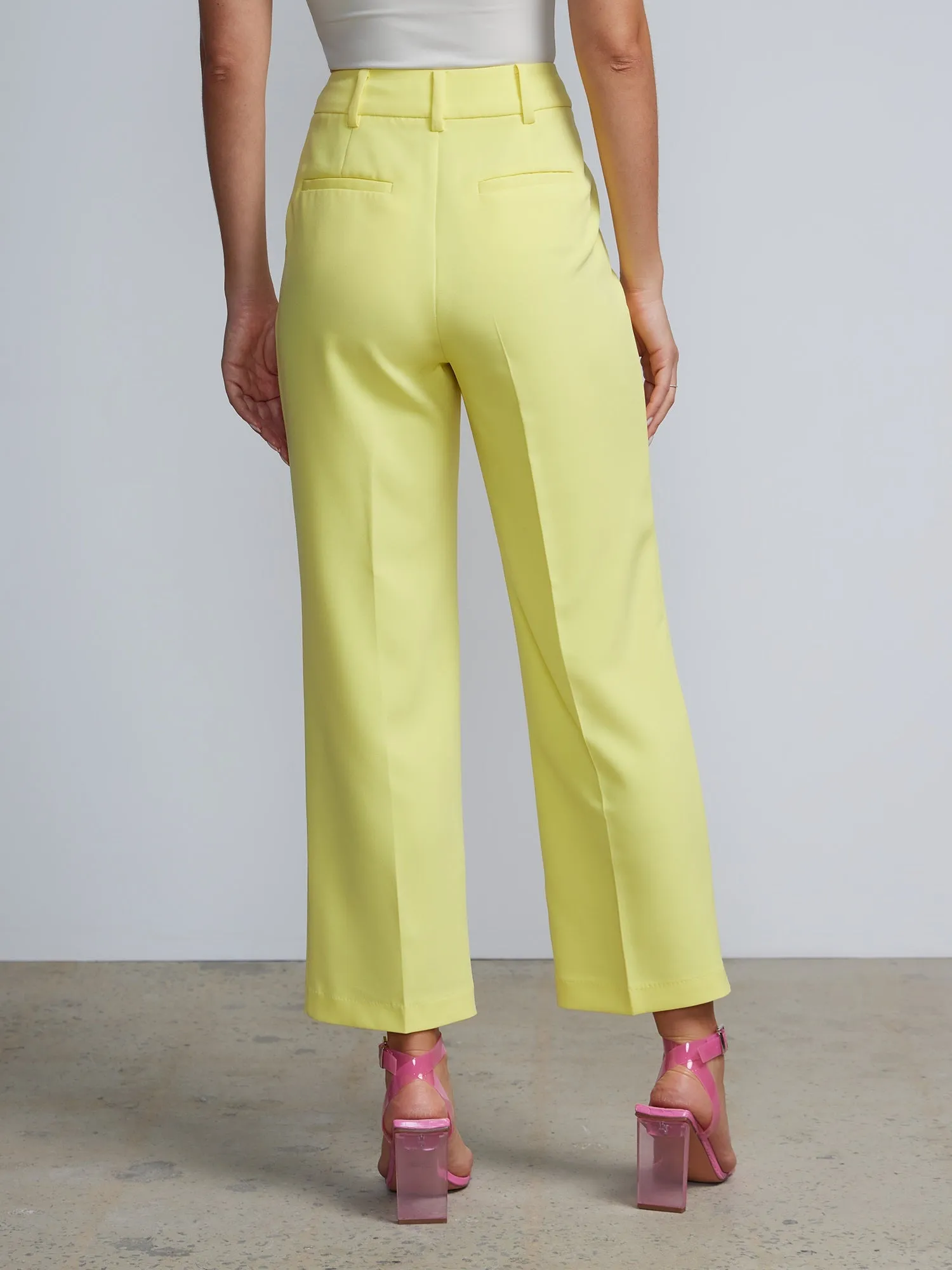 Petite High Rise Pleated Trousers