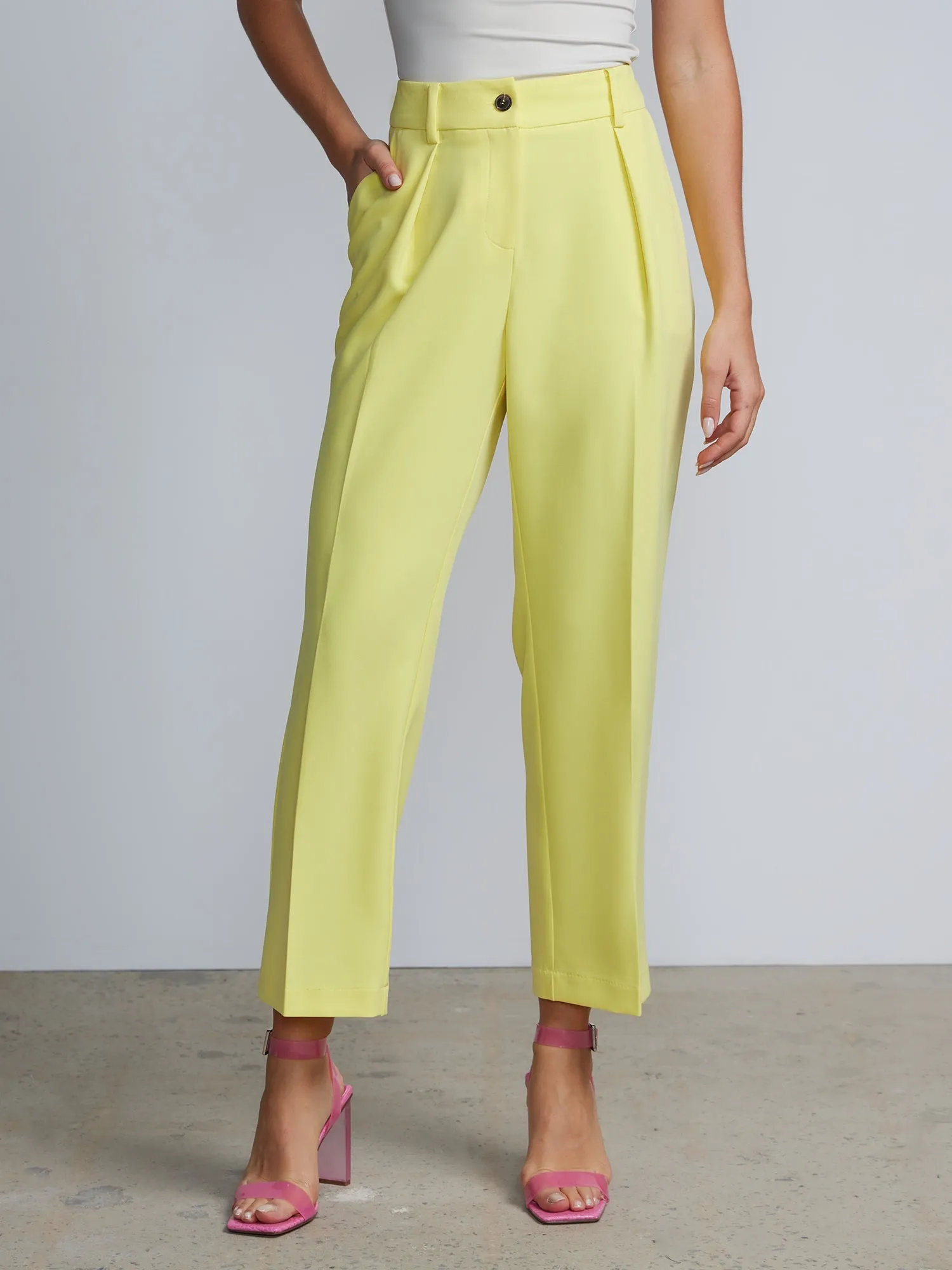 Petite High Rise Pleated Trousers