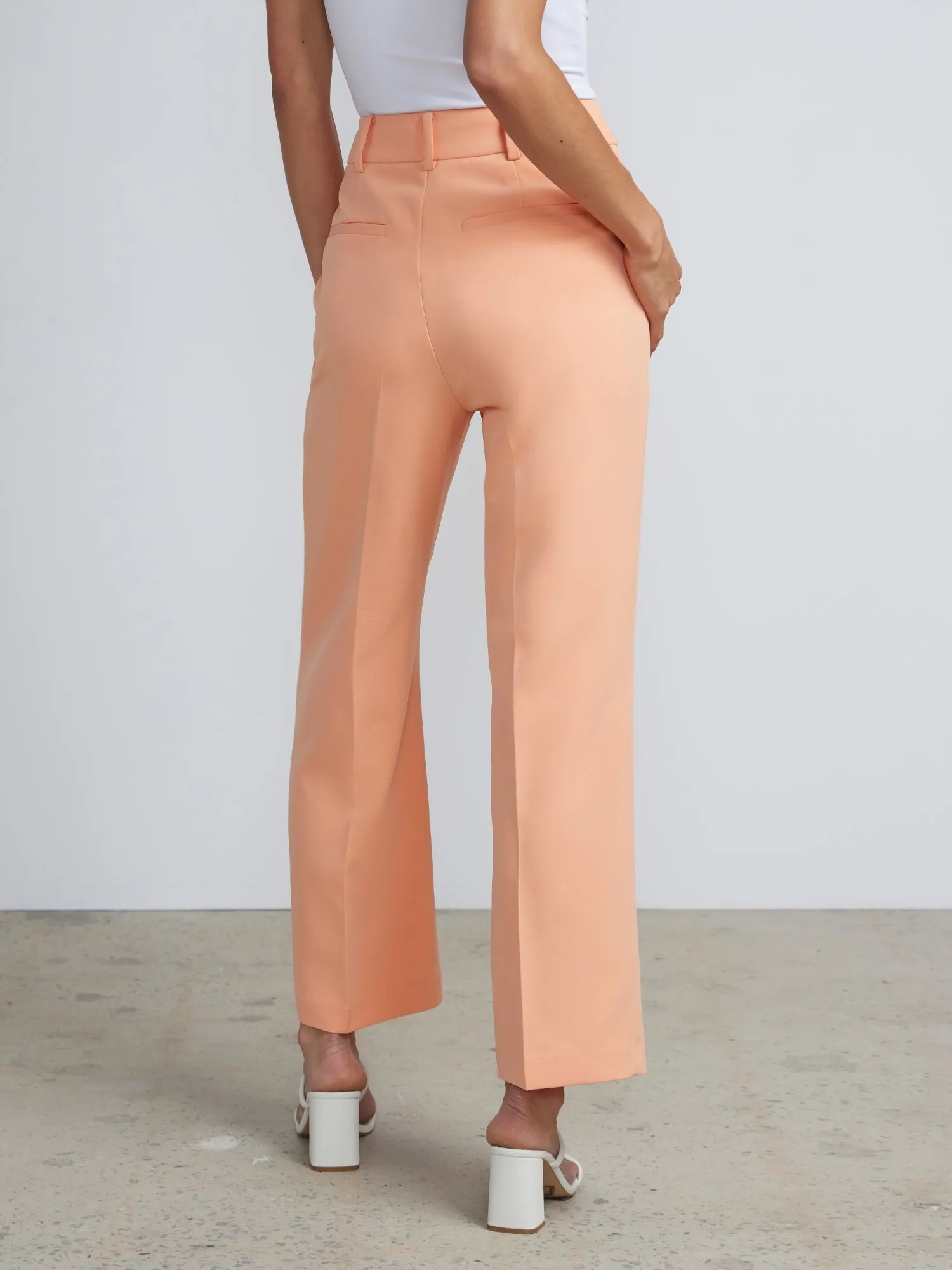 Petite High Rise Pleated Trousers